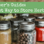 A Prepper’s Information: The Greatest Technique to Retailer Herbs