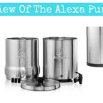 The Alexapure Professional Evaluate – Ought to You Purchase This?