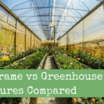 Chilly Body vs Greenhouse Constructions In contrast