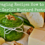 Garlic Mustard Pesto: The Good Recipe For Foragers