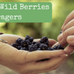 Prime 10 Greatest Wild Berries for Foragers