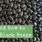 Why and Learn how to Develop Black Beans