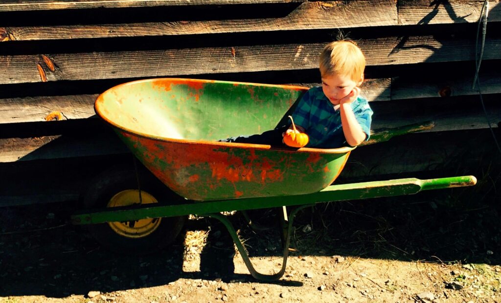 Exploring Wheelbarrows and Backyard Carts