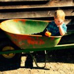 Exploring Wheelbarrows and Backyard Carts