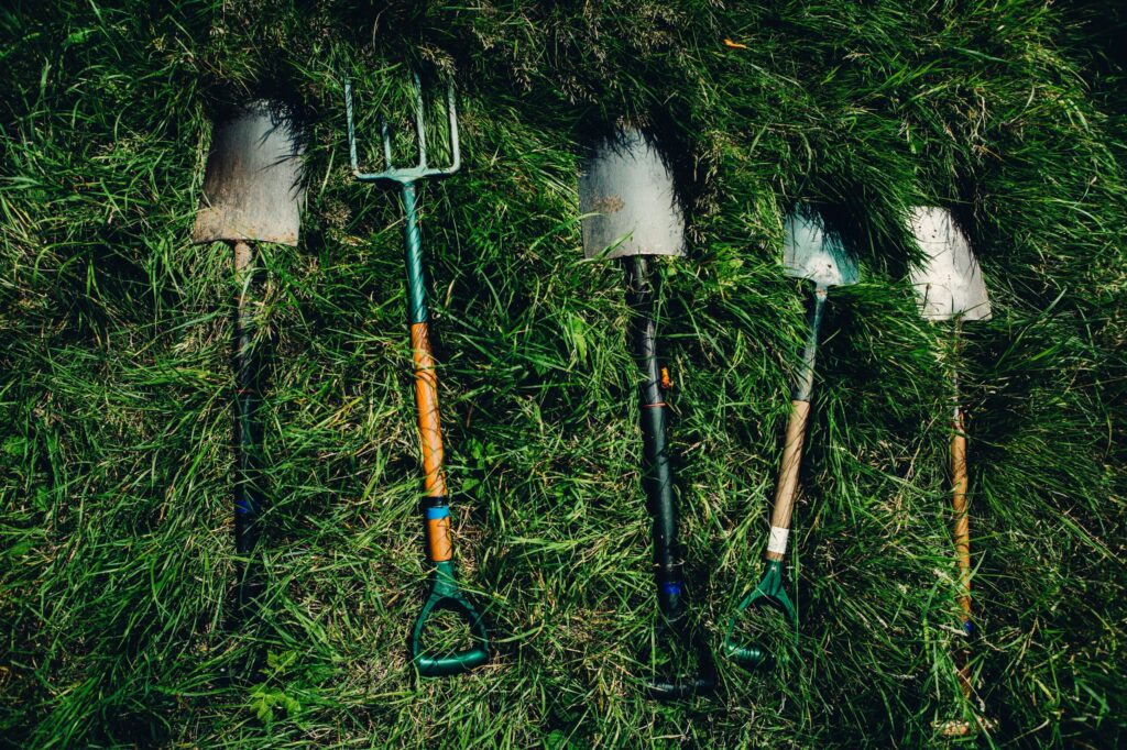 Backyard Instruments: From Raised Beds To Massive Gardens