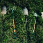 Backyard Instruments: From Raised Beds To Massive Gardens