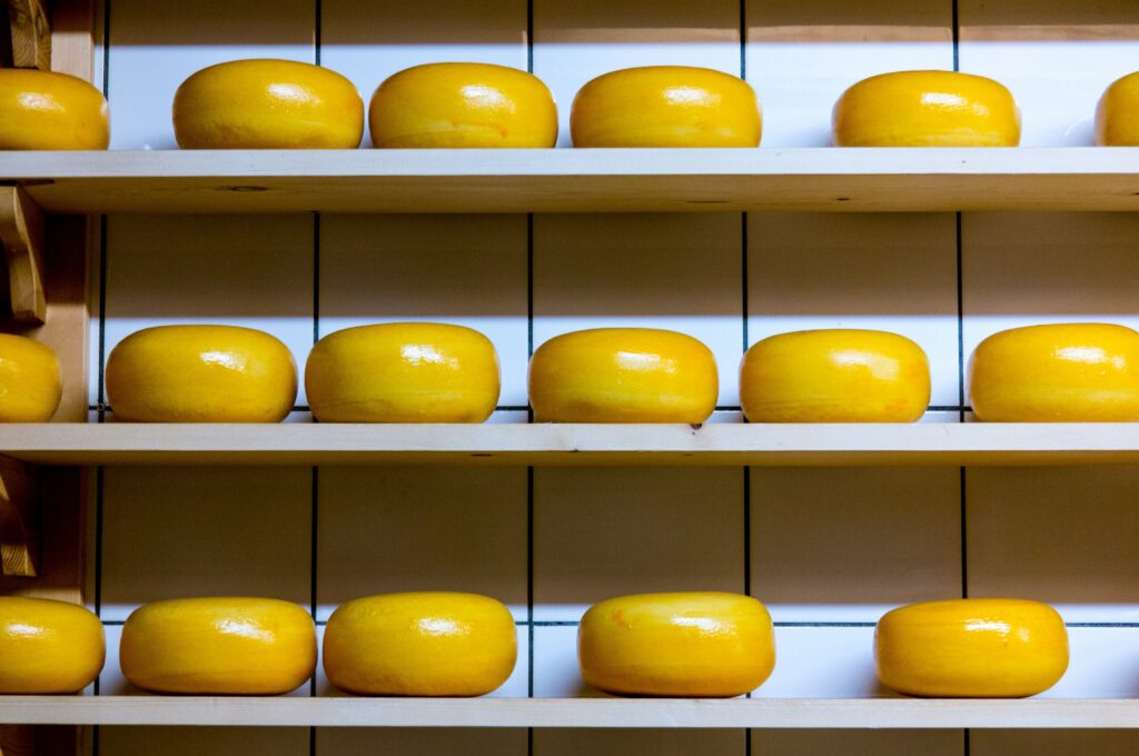 Shelf Secure Cheese and Recent Cheese Preservation Strategies For Preppers