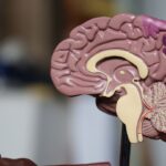 Can Covid-19 Trigger A Change In Mind Chemistry and Habits?