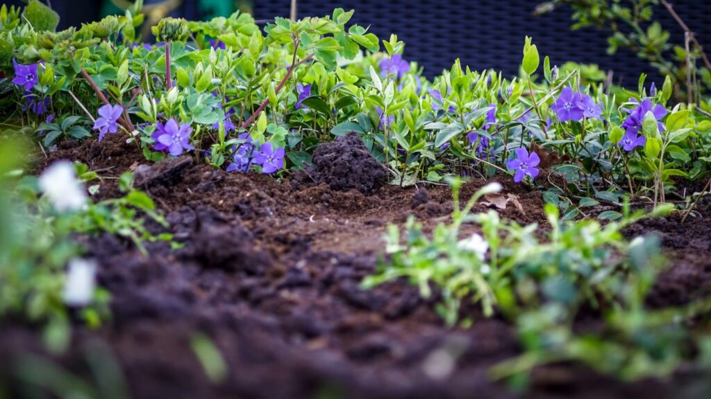 Discovering The Finest Soil Check Equipment