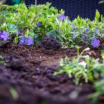 Discovering The Finest Soil Check Equipment