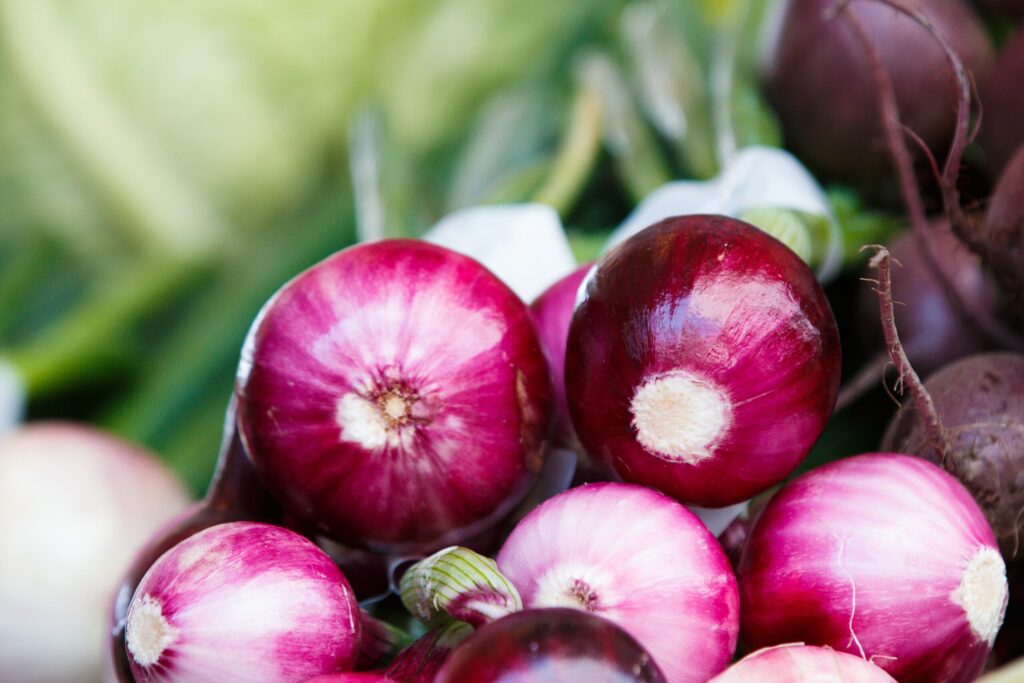 The Fall Onion and Garlic Planner